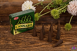 Cannabis Konik Tütsü